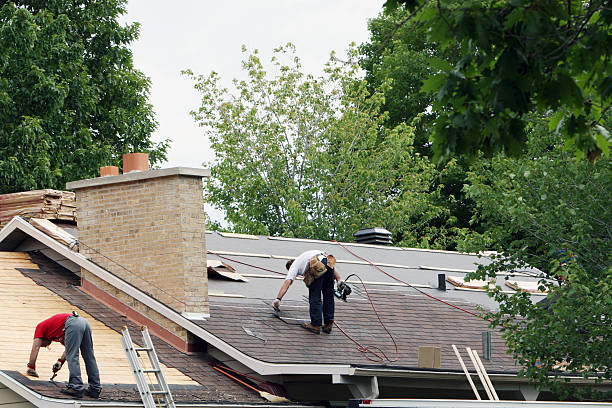 Best Metal Roofing Contractor  in Webster City, IA
