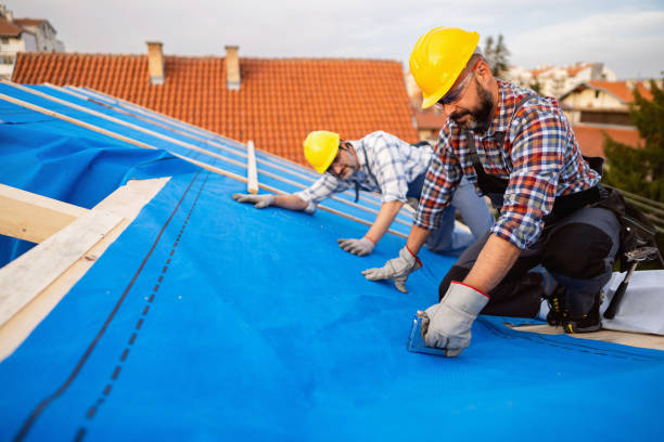 Best Commercial Roofing Services  in Webster City, IA