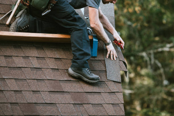 Best Roof Gutter Cleaning  in Webster City, IA