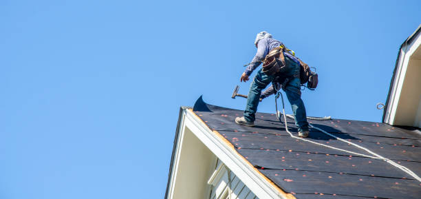 Best Roof Restoration Services  in Webster City, IA